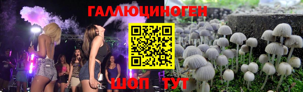 Псилоцибиновые грибы Cubensis  Вход с VPN  Кандалакша 